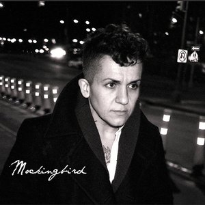 Mockingbird