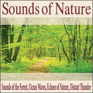 Sounds of Nature: Sounds of the Forest, Ocean Waves, Echoes of Nature, Distant Thunder