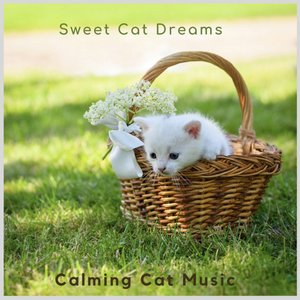 Calming Cat Music 的头像