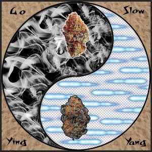 Ying Yang