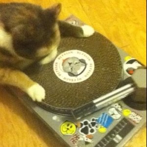 DJ McBastard 的头像