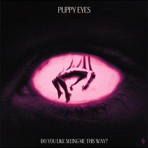 puppy eyes