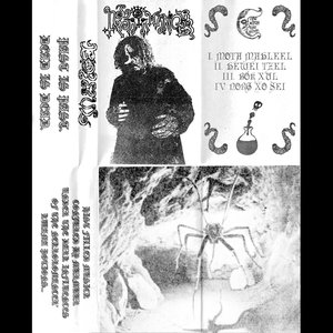 Nekroromancer 的头像