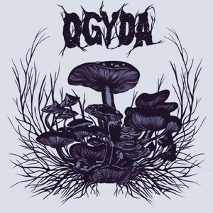 Fungus