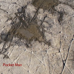 Pocket Man 的头像