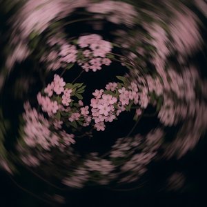 В цветах