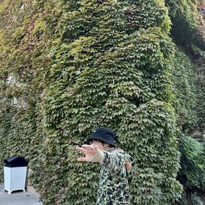 Brandonsteezy 的头像
