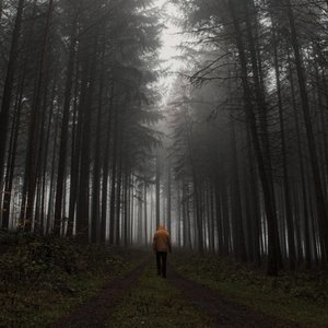 Ghost In The Night