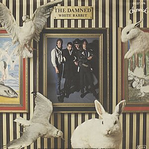 White Rabbit