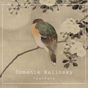 Feathers - Single