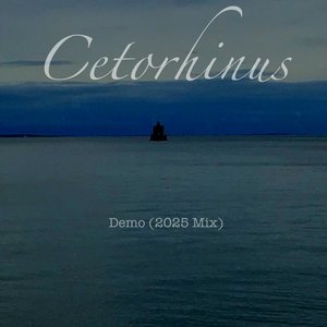 Demo (2025 Mix)