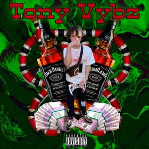 Tony Vybz (esperienza 1)