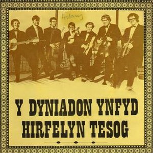 Y Dyniadon Ynfyd Hirfelyn Tesog