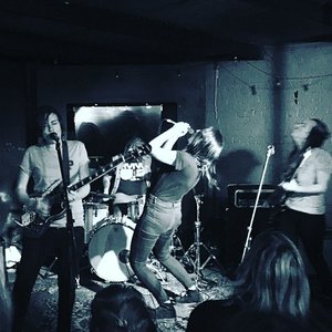 She's the Band 的头像
