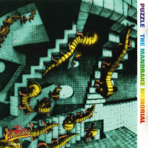 Puzzle cover