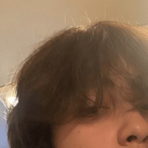 hashiwaro 的头像