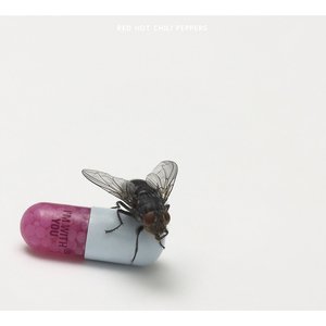 2011 - I'm With You