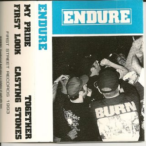Endure photo provided by Last.fm