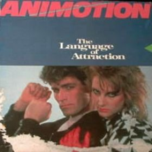 The Language of Attraction cover