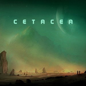 cetacea