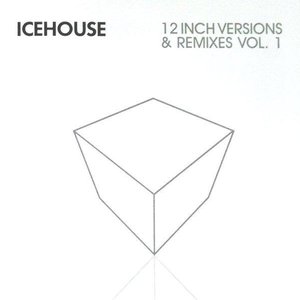 12 Inch Versions & Remixes Vol. 1