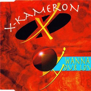 I Wanna Be Your Lover