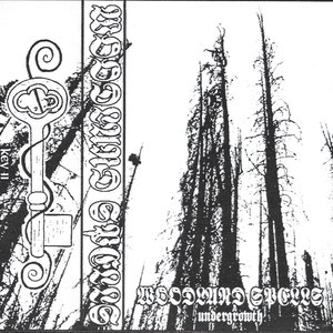 Woodland Spells 的头像