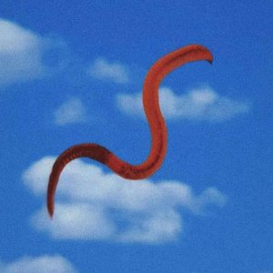 Worms III