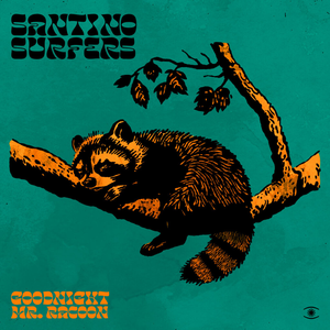 Artwork for Goodnight Mr. Racoon