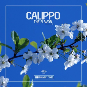 Calippo - The Flavor Lyrics - Zortam Music