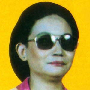 Image for 'emi nurhayati'