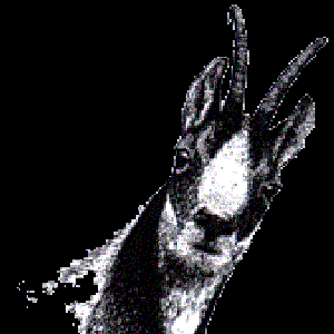 Avatar di Isards