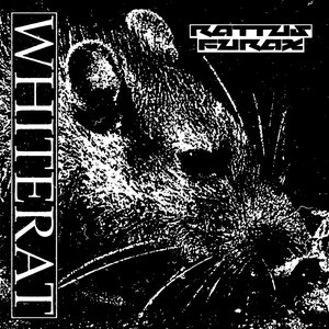 Rattus Furax