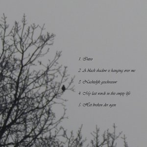 Nachtblind 的头像