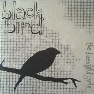 Black Bird