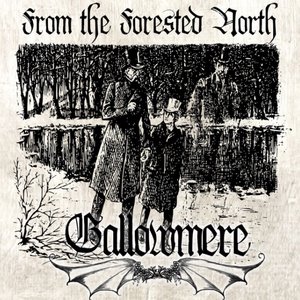 From The Forested North