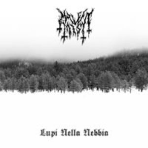 Lupi Nella Nebbia