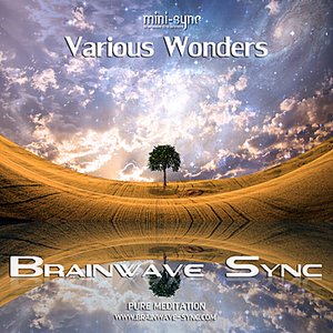 Various Wonders - Meditation Music for Relaxation, Sleep, Dreams & Visualization (Brainwave Entrainment)