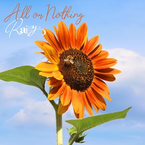 All or Nothing - Single