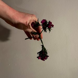 Appear To Be - Single