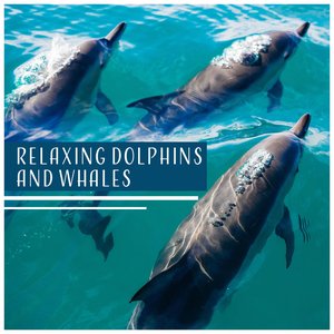 Relaxing Dolphins and Whales – Sounds of the Sea, Ocean, Waves, Underwater Ambience, Background for Sleep