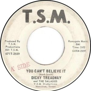 Dicky Treadway & The Salados 的头像