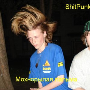 Мохнорылая пальма 的头像