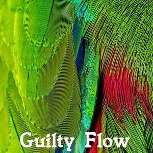 Guilty Flow