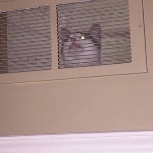 It Happened Again, Pretty Bad This Time - Single