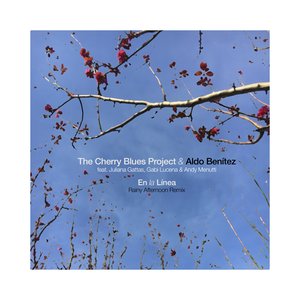 The Cherry Blues Project & Aldo Benitez 的头像