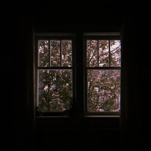 anthesis