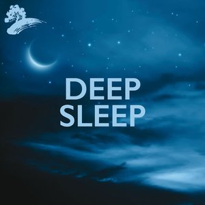 Deep Sleep