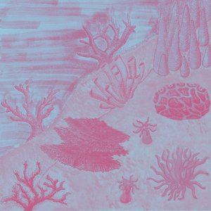 In Asymmetric Oceans