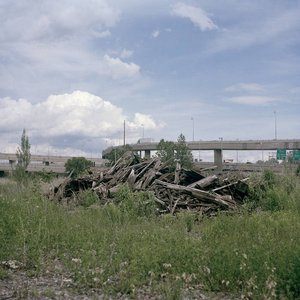 Feral Verdure